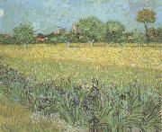 Vincent Van Gogh View of Arles with Irises in the Foreground (nn04) oil painting picture wholesale